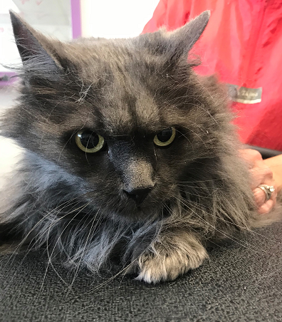 Heed the Tale of Hannah and Todd!