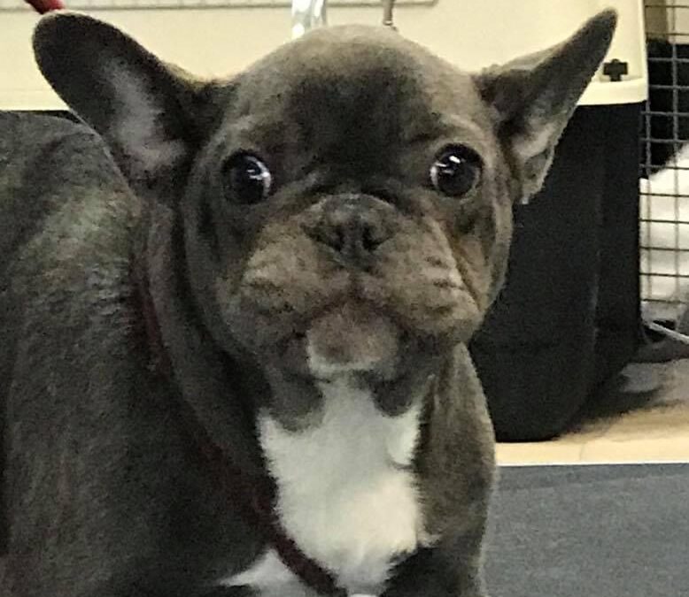 November COVID 19 Update! Important News!